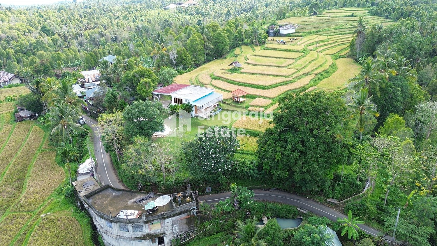 Villa Dengan Sawah Pribadi 64 are di Pedesaan Singaraja - Image 10